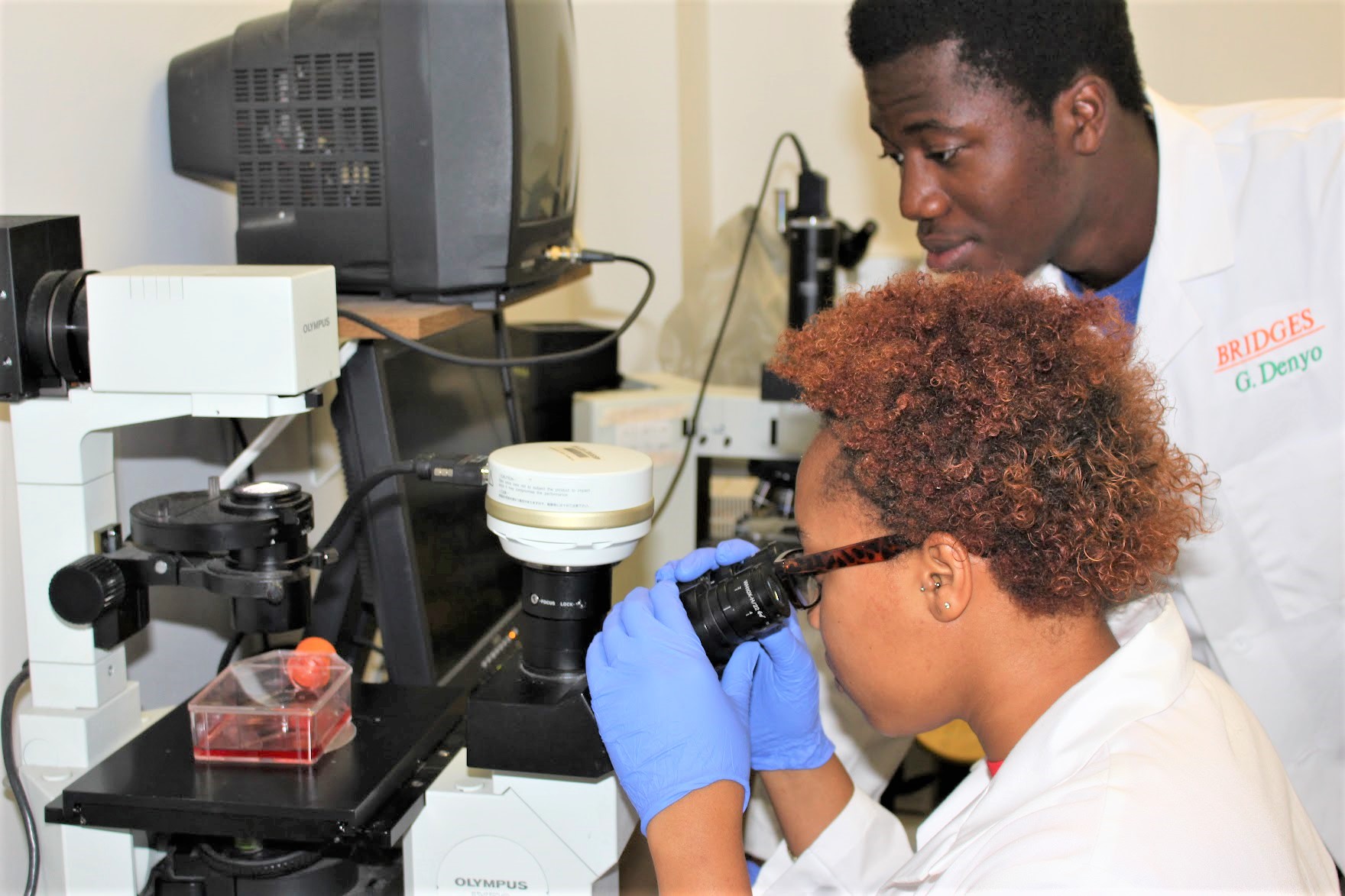 Bridges in the Lab