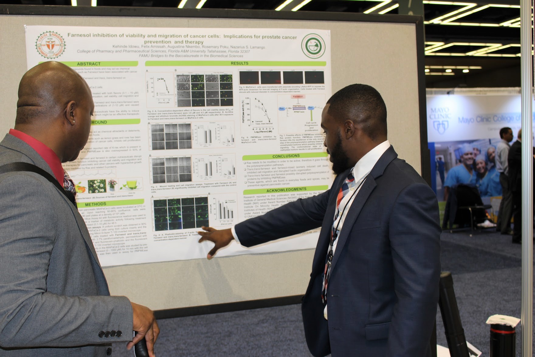 Bridges Poster Presentation 