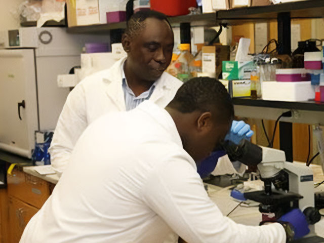 Pharmacy workers in lab