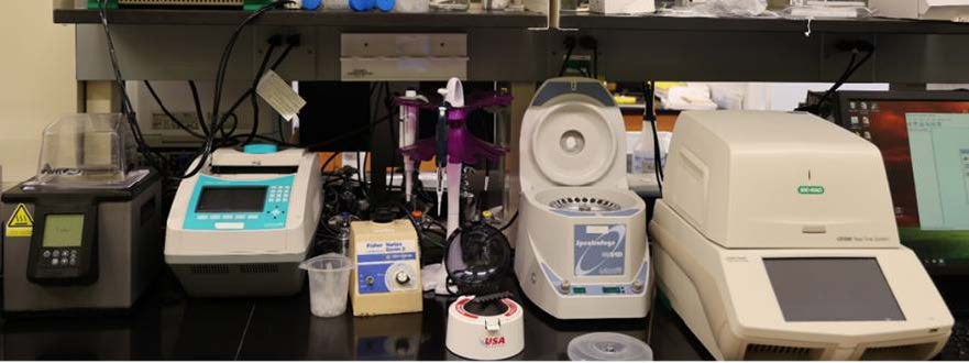 Shown here are a few pieces of the scientific instruments Dr. Lee and her research team use in her lab engaged in neuroscience research and discoveries. Lab photos credit: Dr. James L. Moran, Jr.
